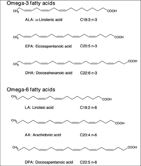 structure of omega 3 fatty acid|what blocks omega 3 absorption.